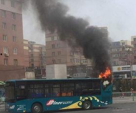 大连公交车最新爆料,揭秘最新线路调整与乘车体验升级